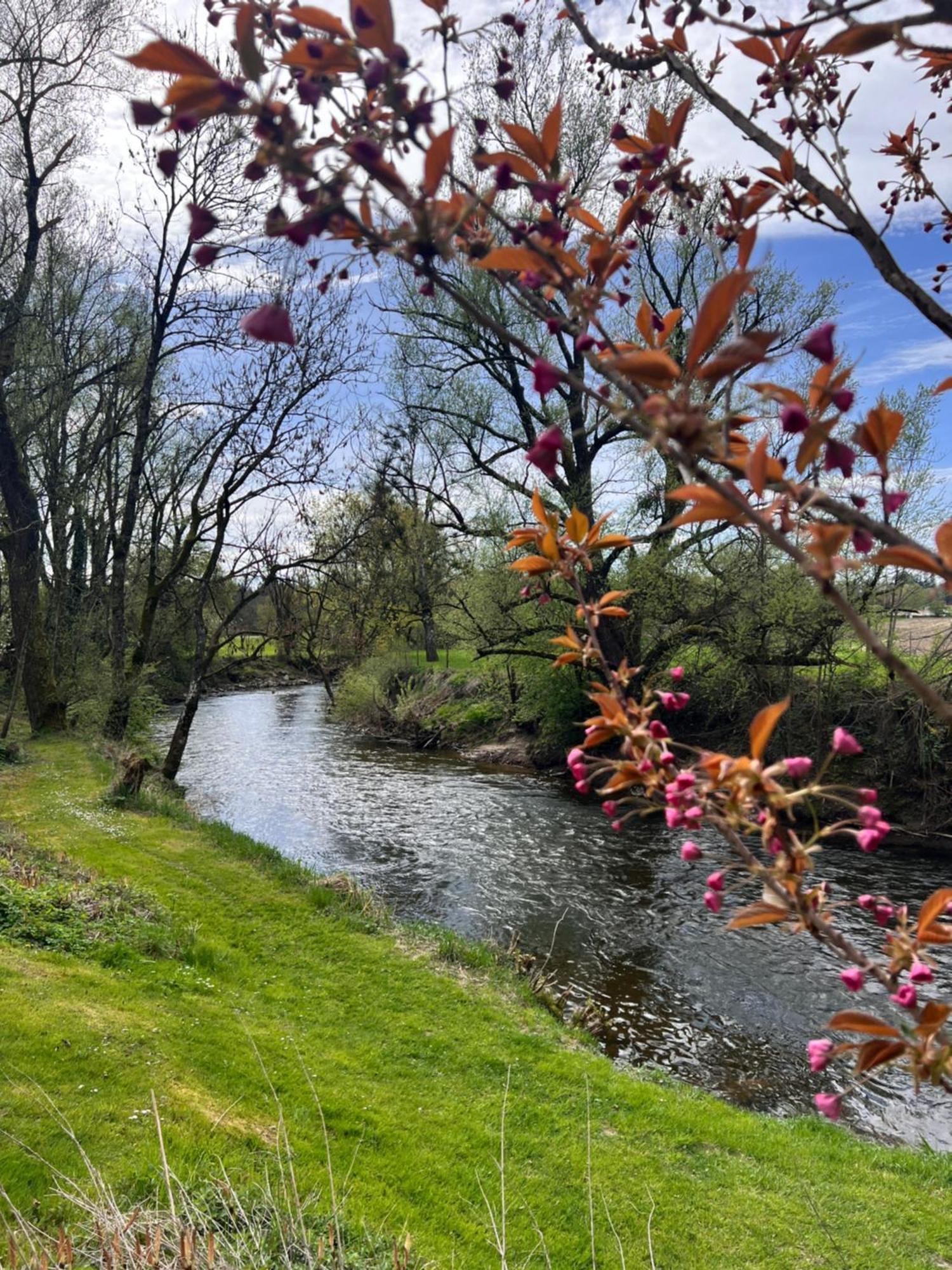 Am Flussgarten Ерискирх Екстериор снимка
