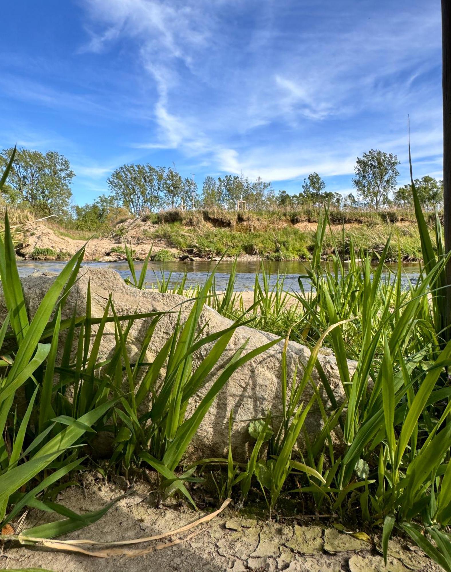 Am Flussgarten Ерискирх Екстериор снимка