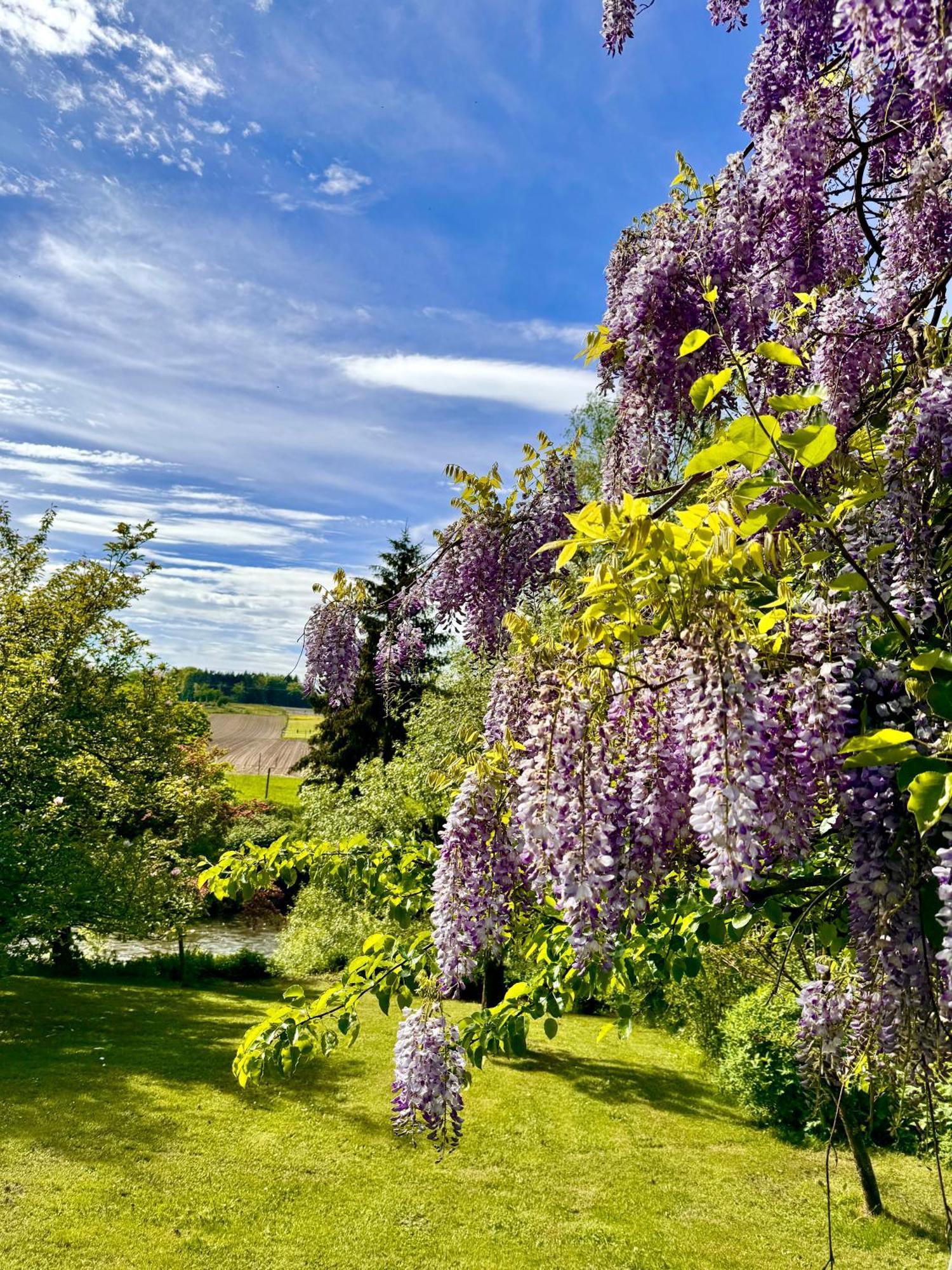 Am Flussgarten Ерискирх Екстериор снимка
