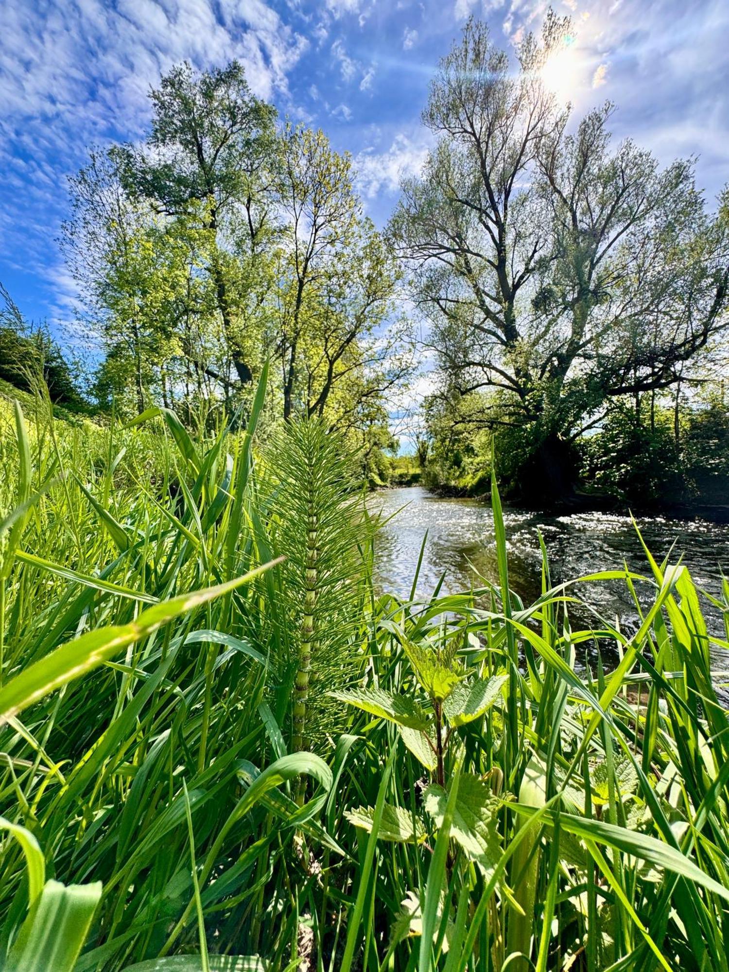 Am Flussgarten Ерискирх Екстериор снимка